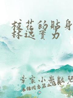 校花的贴身高手林逸实力