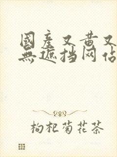 国产又黄又爽又无遮挡网站