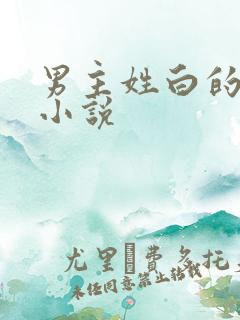 男主姓白的总裁小说