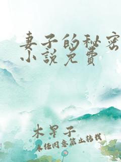 妻子的秘密吴双小说免费