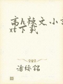 高h辣文小说txt下载