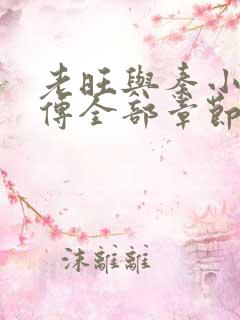 老旺与秦小雨后传全部章节