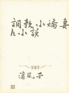 调教小娇妻高潮h小说