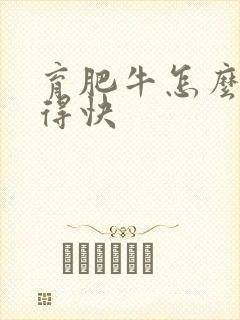 育肥牛怎么喂长得快