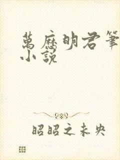 万历明君笔趣阁小说