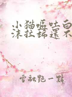 小猫呕吐白色泡沫拉稀还不吃