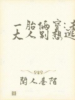 一胎俩宝:老婆大人别想逃