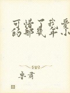 可惜了我爱着你的那几年小说免费阅读