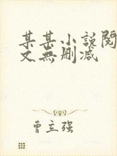 某某小说阅读全文无删减