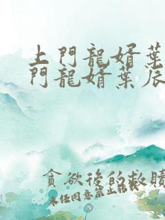 上门龙婿叶辰上门龙婿叶辰
