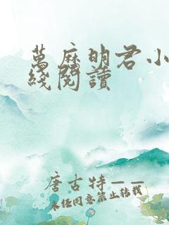 万历明君小说在线阅读