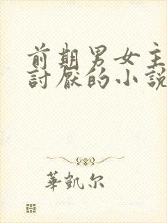 前期男女主互相讨厌的小说