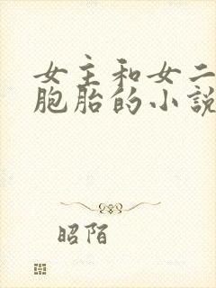 女主和女二是双胞胎的小说