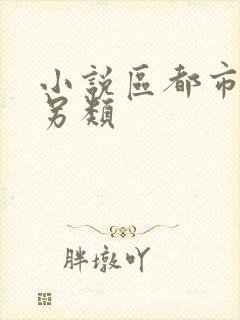 小说区都市激情另类