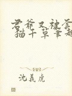 君爷又被套路了 猫千草笔趣阁小说