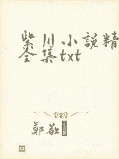 紫川小说精校版全集txt