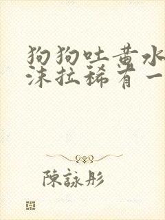 狗狗吐黄水带泡沫拉稀有一点带血