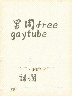 男同free gaytube