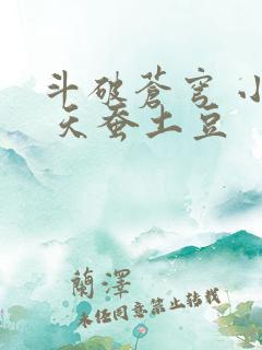 斗破苍穹 小说 天蚕土豆