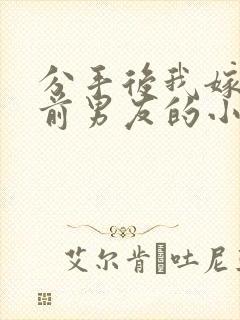 分手后我嫁给了前男友的小叔免费阅读