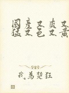 国产又爽又粗又猛又色又黄视频