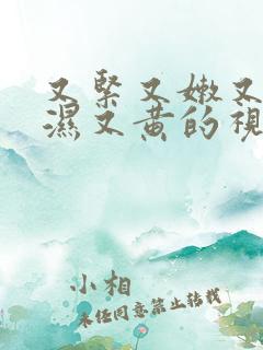 又紧又嫩又爽又湿又黄的视频