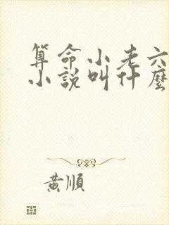 算命小老六原著小说叫什么