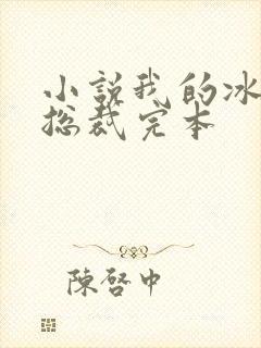 小说我的冰山女总裁完本