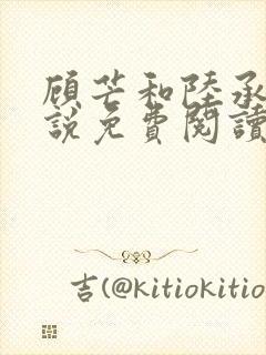 顾芒和陆承洲小说免费阅读