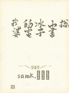 我的冰山总裁老婆电子书