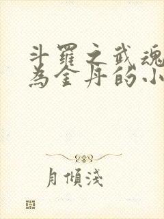 斗罗之武魂进化为金丹的小说