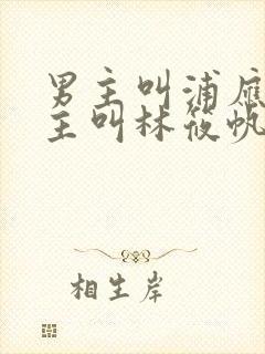 男主叫浦应辛女主叫林筱帆的小说