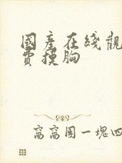 国产在线观看免费摸胸