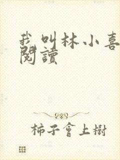 我叫林小喜免费阅读