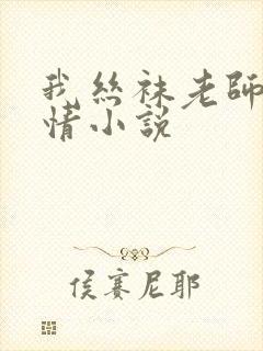 我丝袜老师的激情小说