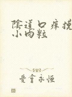 阴道口痒摸着有小肉粒