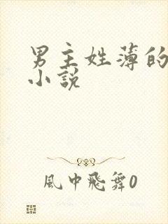 男主姓薄的全部小说