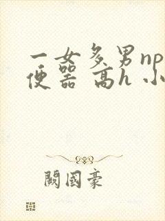 一女多男np肉便器 高h 小说