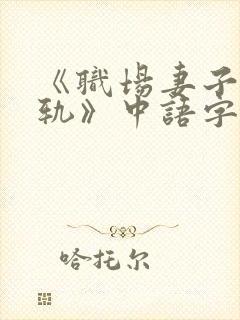 《职场妻子的出轨》中语字主演