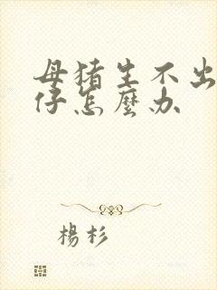 母猪生不出来猪仔怎么办