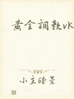 黄金调教vk