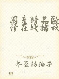 国产精品欧美激情在线播放