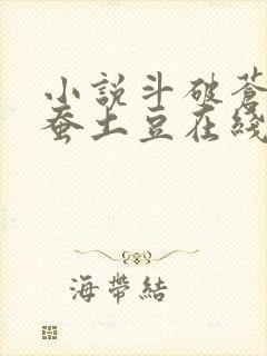 小说斗破苍穹天蚕土豆在线阅读