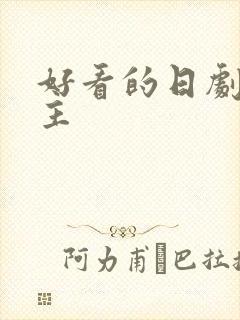 好看的日剧双男主