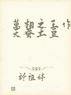 万相之王作者:天蚕土豆