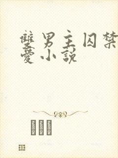 双男主囚禁强制爱小说