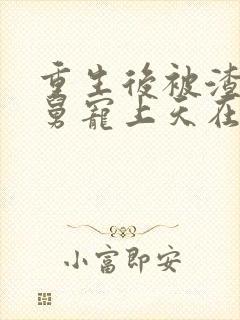 重生后被渣男舅舅宠上天在线