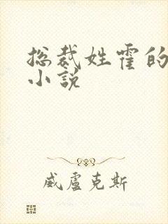 总裁姓霍的全部小说