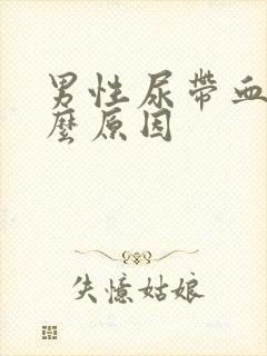 男性尿带血是什么原因