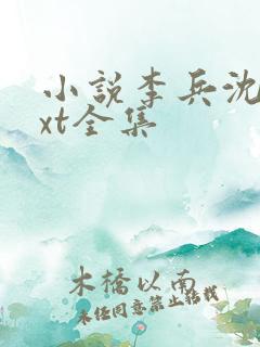 小说李兵沈思txt全集